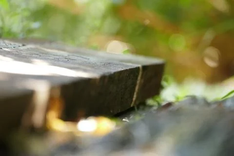 Close Up Timber Garden Edging Foto stock