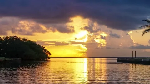 Close up Time Lapse of a Sunrise at The Deering Estate in 4K Stock Footage 84240308