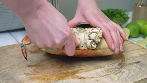 Close-up timelapse of eating a crab by pulling off the legs, a twisting motion. Stock Footage 146329488