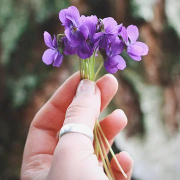 Close up tiny bunch of flowers concept photo Stock Photos