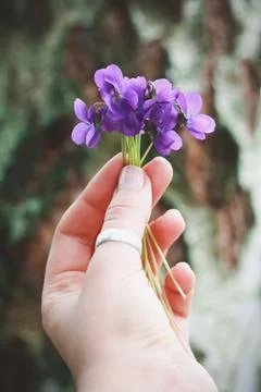 Close up tiny bunch of wildflowers concept photo Stock Photos