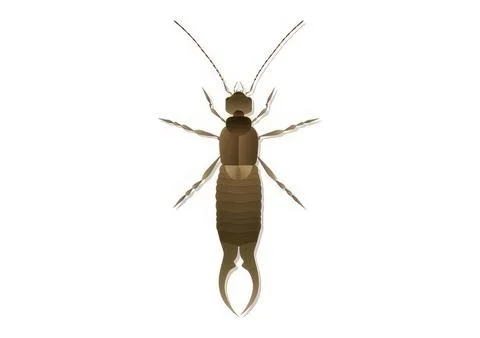 Close-up of a tiny insect with six legs and long antennae イラスト素材