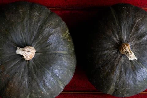 Close up Tiny PUMKINS Stock Photos