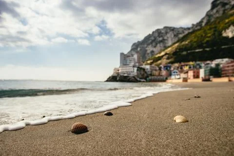 Close up on tiny shells atop sunlit sand of beach Stock Photos