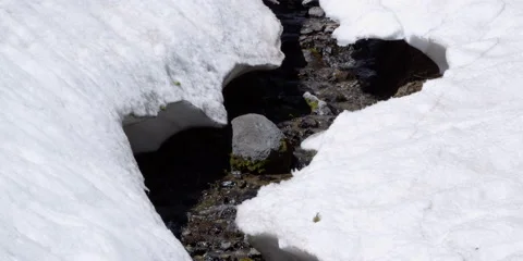Close-up of tiny stream flowing over rocky soil in melting snow Video stock 59105206