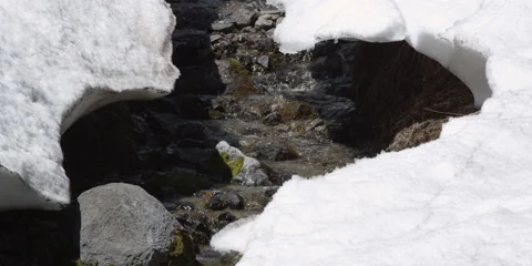 Close-up of tiny stream of snowmelt with icy overhang on either side Video stock 59105244