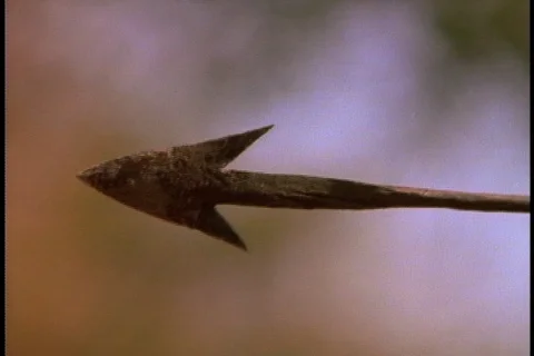 Close up of tip of arrow as its released from bow. Stock Footage 86752609