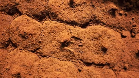 Close up of tiramisu dessert texture with cocoa powder Stock Footage 334132070