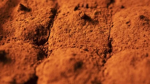 Close up of tiramisu dessert texture with cocoa powder. Stock Footage 334132073