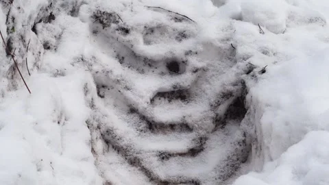 Close-up of tire prints in snow Stock Footage 335646896