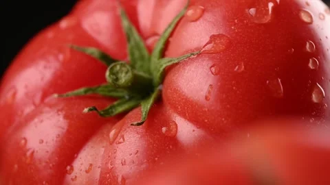 Close-up of a tomato with a drop of water on it. Vídeo Stock 271196182