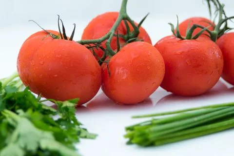 Close up of tomatoes and fresh herbs Stock Photos