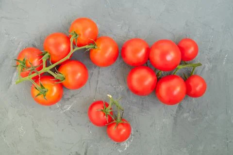 Close-up of tomatoes on a branch Stock Photos