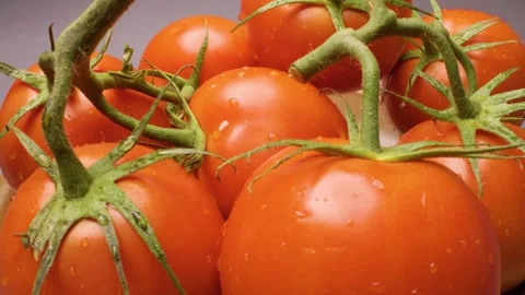 Close-up of tomatoes captured with a sliding motion. Stock Footage 313802733