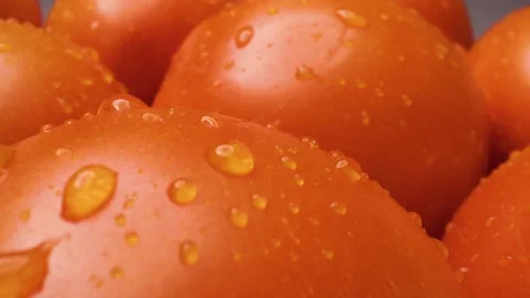Close-up of tomatoes captured with a sliding motion. 스톡 동영상 313802904