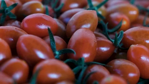 Close up of tomatoes Stock Footage 288336286