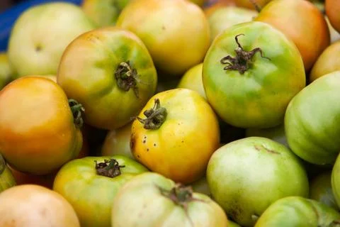 Close up of tomatoes, full frame. Foto stock