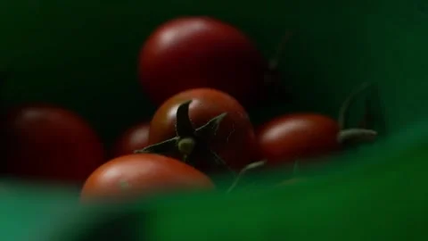 Close-up tomatoes in a green plastic container, parallax Stock Footage 231942591