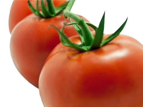 Close up tomatoes 库存照片