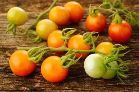 Close up of tomatoes Foto stock