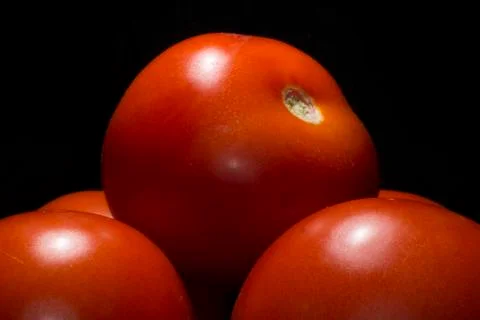 Close up of tomatoes Stock Photos