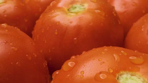 Close-up of tomatoes with sliding motion. Stock Footage 313802902