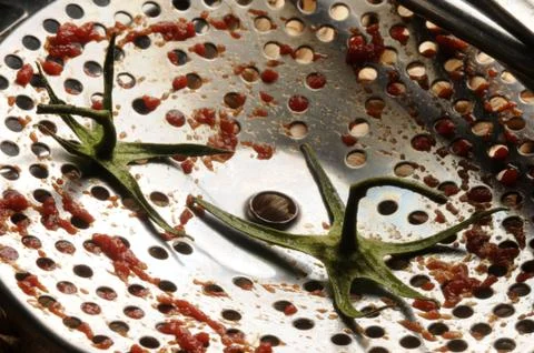 Close up on tool for tomato puree. Stock Photos