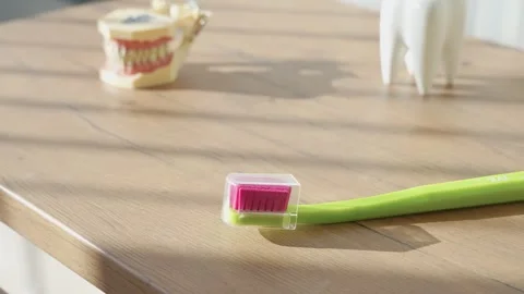 Close-up of Toothbrush and Dental Model in Sunlit Room 動画素材 332898230