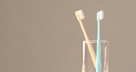 Close up of toothbrushes In Cup Stock Footage 97260541