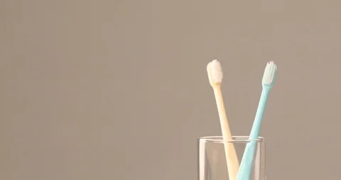 Close up of toothbrushes In Cup Stock Footage 97260560