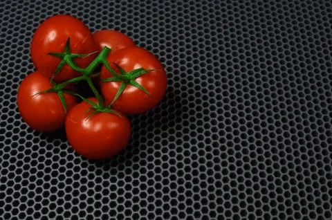 Close-up top in the corner of red tomatoes on a branch Stock Photos