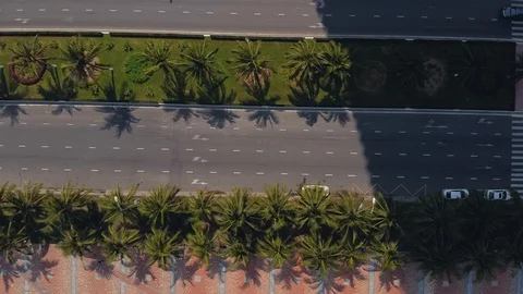 Close up top down view over four lane roads with palm trees and few vehicles. Stock Footage 130044312