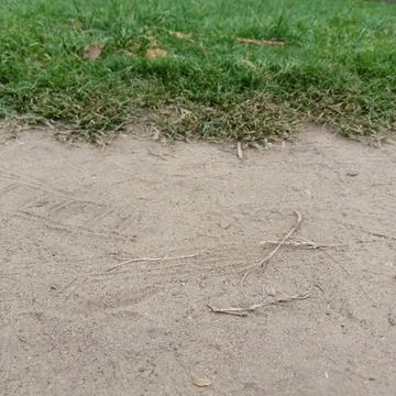 Close up top down view sandy ground dirt bordered green grass line 写真素材