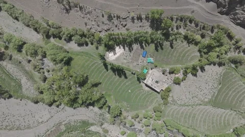 Close Top Drone Down Shot Over Lush Ladakh Green Forest and Farmland in the Stock Footage 335764516