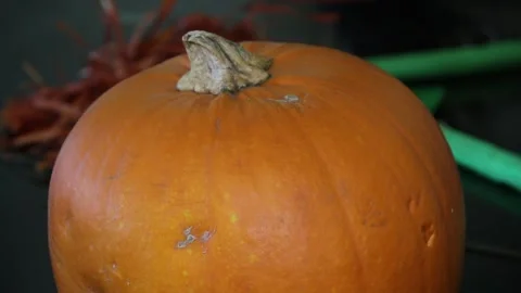 Close up of top of pumpkin Stock Footage 247560954