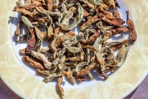 Close-up top shoot of string beans dried under the sunlight on the plate Stock Photos