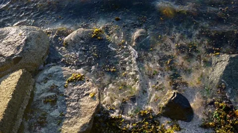 Close up top view of big white waves hitting sea rocks Stock Footage 156993330