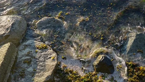 Close up top view of big white waves hitting sea rocks Stock Footage 156993340