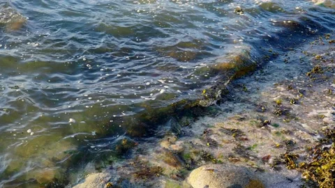 Close up top view of big white waves hitting sea rocks Stock Footage 156993609