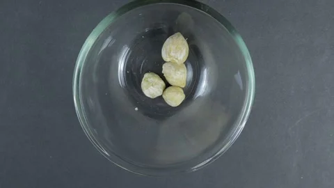 Close up top view of Candlenuts (Aleurites moluccana) poured into a glass bowl Stock Footage 266927115