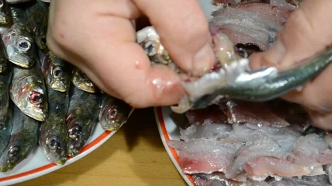 Close-up top view of female hands cleaning fresh sardines fish on fillet. Stock Footage 150764872