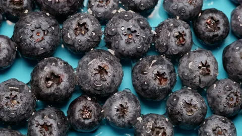 Close-up top view of fresh blueberries in the water. The concept of healthy Stock Footage 170394115