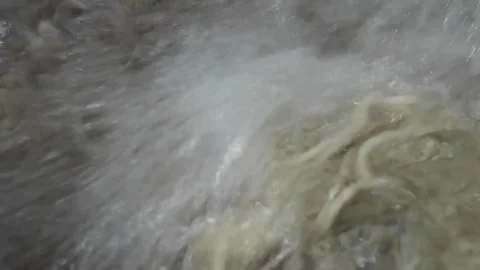 Close-up Top View of Fresh Raw Handmade Wheat Noodles Stock Footage 333600476