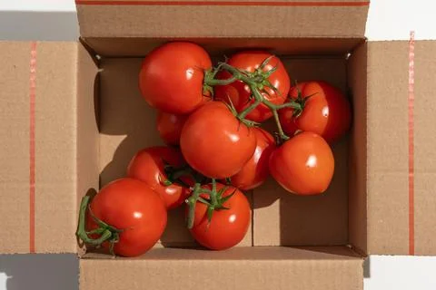 Close-up top view of fresh tomatoes inside a cardboard box. Stock Photos
