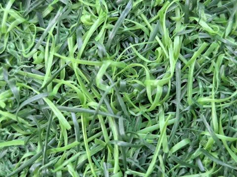 Close-up top view of green artificial grass plastic mat textureClose-up top view Stock Photos
