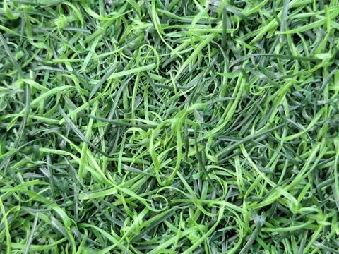 Close-up top view of green artificial grass plastic mat texture Stock Photos