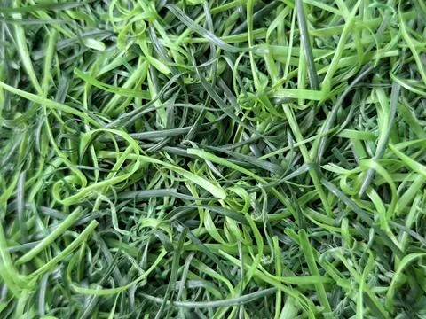 Close-up top view of green artificial grass plastic mat texture Stock Photos