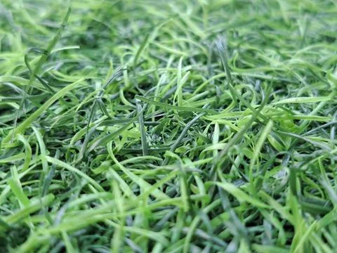 Close-up top view of green artificial grass plastic mat texture Stock Photos