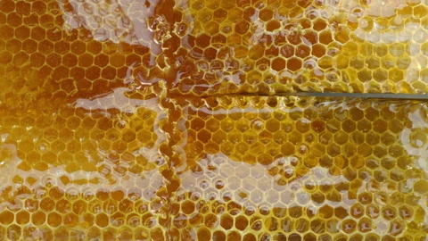 Close-up top view of the knife cutting the fresh smooth honey Stock Footage 254226899