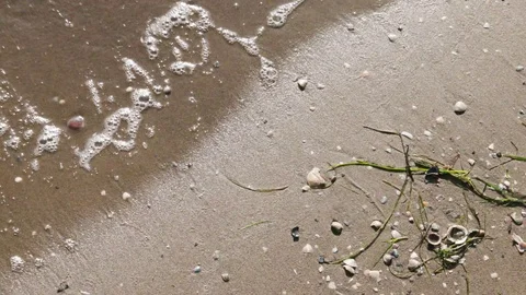 Close Up Top View Sand Beach By Waving Sea Water, Shell and Seaweed Stock Footage 117413028